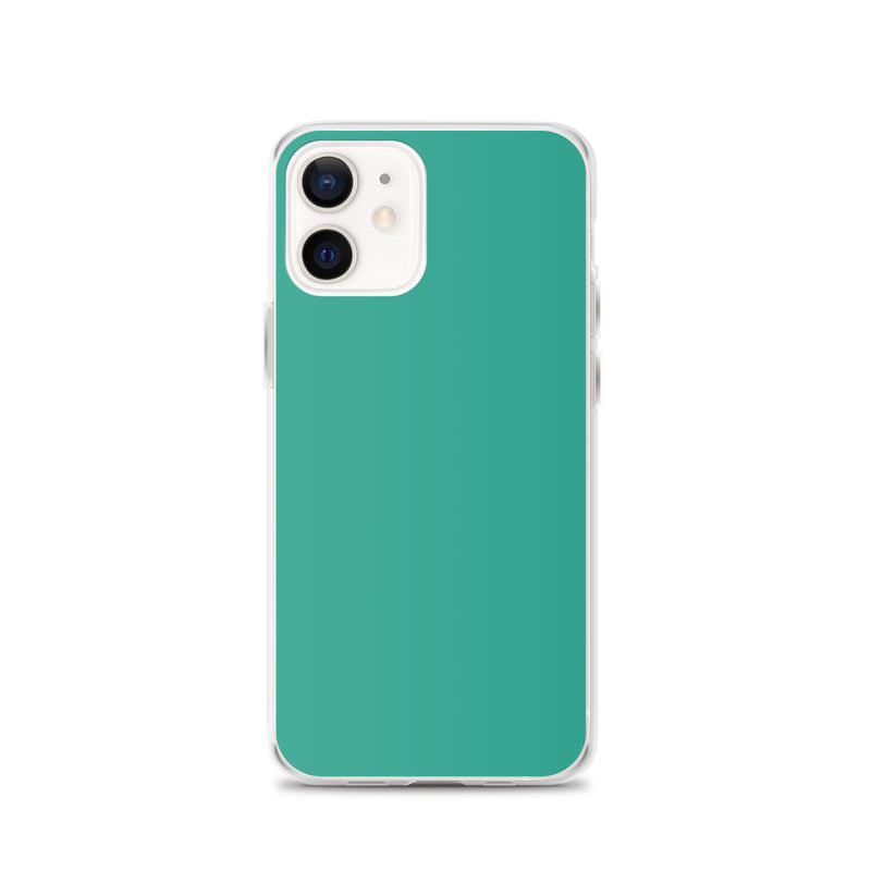 Load image into Gallery viewer, Plain Color Niagara Green iPhone Case Clear Bump Resistant CREATIVETECH