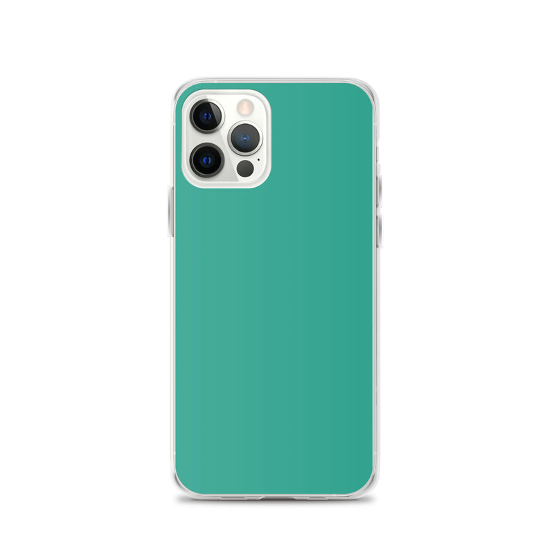 Load image into Gallery viewer, Plain Color Niagara Green iPhone Case Clear Bump Resistant CREATIVETECH