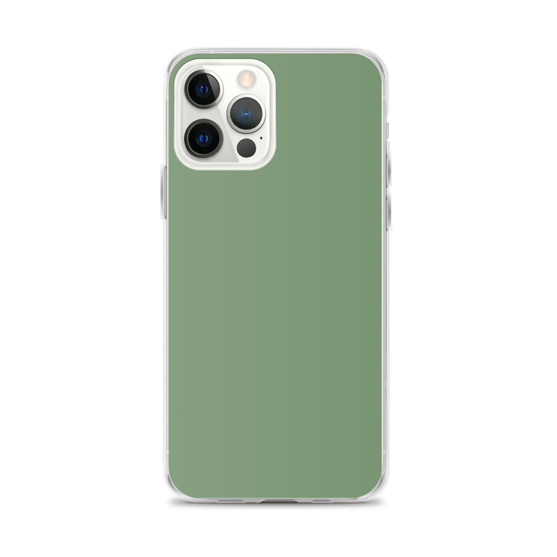 Load image into Gallery viewer, Plain Color Amulet Green iPhone Case Clear Bump Resistant CREATIVETECH