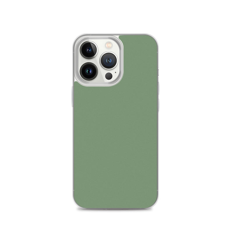 Load image into Gallery viewer, Plain Color Amulet Green iPhone Case Clear Bump Resistant CREATIVETECH