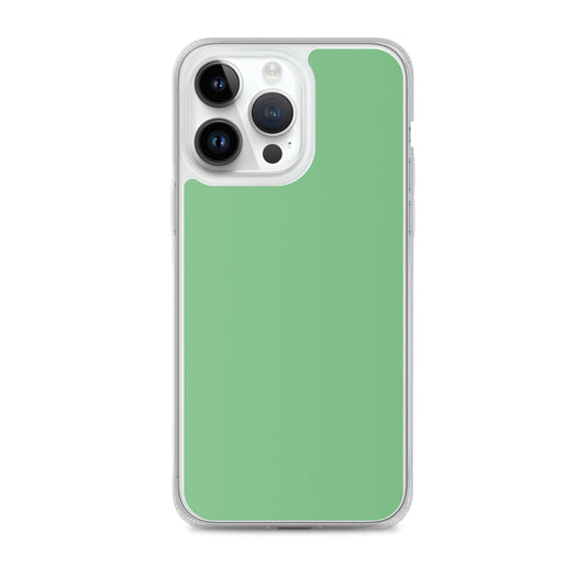 Plain Color Bay Leaf Green iPhone Case Clear Bump Resistant CREATIVETECH