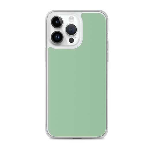 Plain Color Sea Green iPhone Case Clear Bump Resistant CREATIVETECH