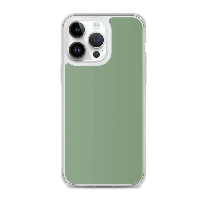 Load image into Gallery viewer, Plain Color Amulet Green iPhone Case Clear Bump Resistant CREATIVETECH