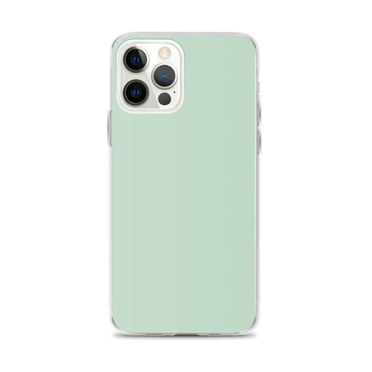 Plain Color Shallow Edgewater Blue iPhone Case Clear Bump Resistant CREATIVETECH